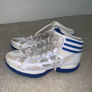 Adidas adiZero Crazy Light Derrick Rose Shoes